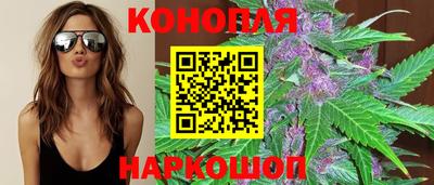 сатива Кунгур